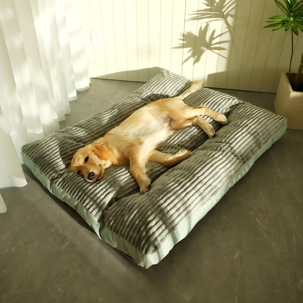 PurrClean Washable Pet Bed - Total Finds Co LLC
